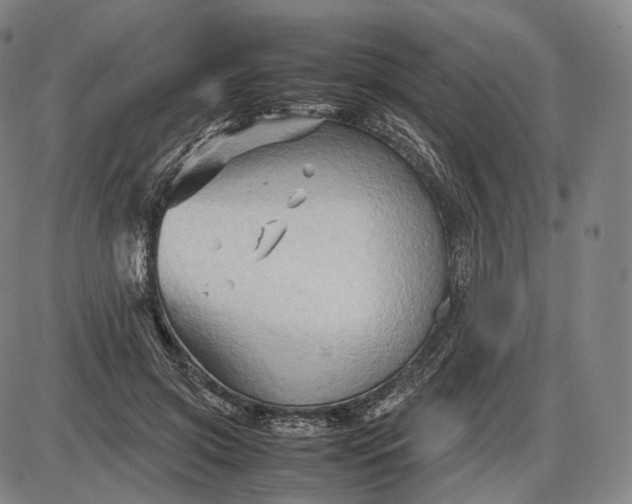 X0000085830549200703301622