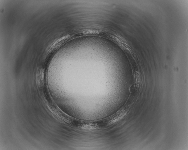 X0000085830550200703301622