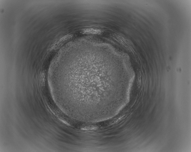 X0000085830551200703301622