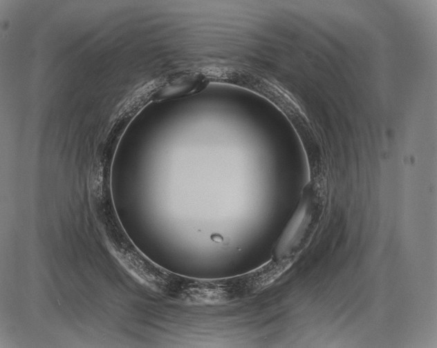 X0000085830552200703301622