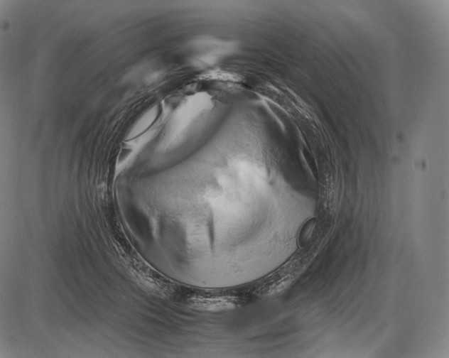 X0000085830553200703301622