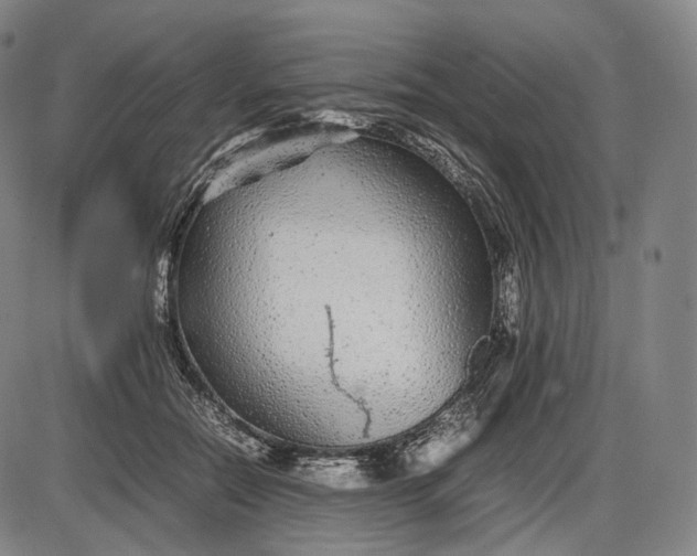 X0000085830554200703301622