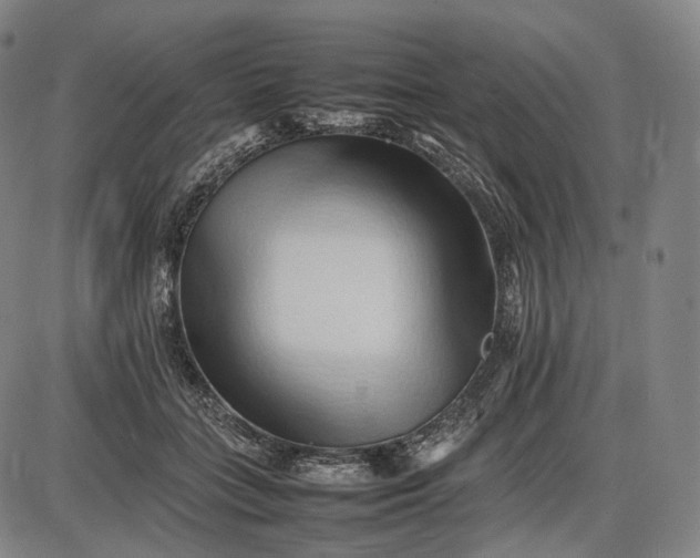 X0000085830555200703301622