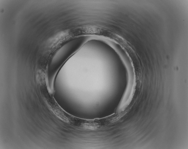 X0000085830556200703301622