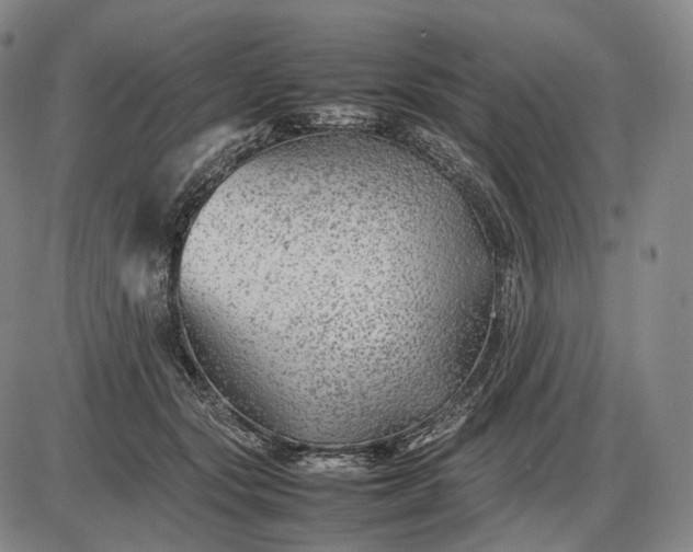 X0000085830557200703301622