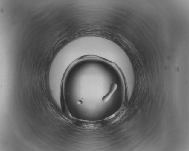 X0000085830558200703301622