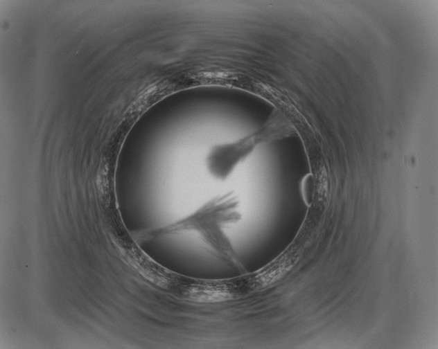 X0000085830559200703301622