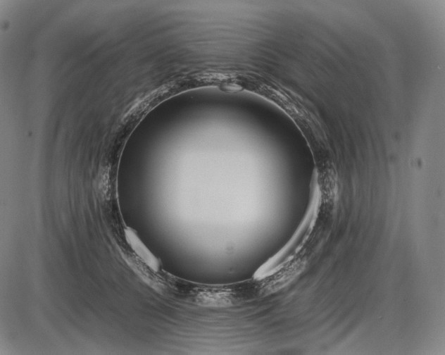 X0000085830560200703301622