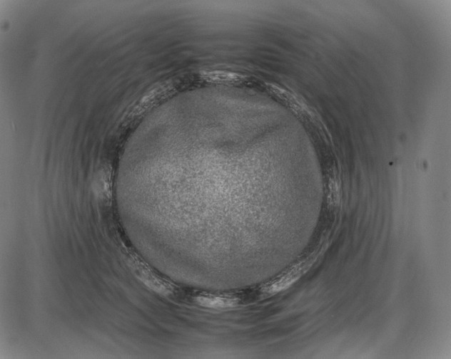 X0000085830561200703301622