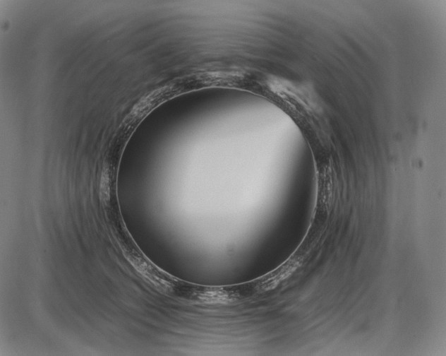 X0000085830562200703301622