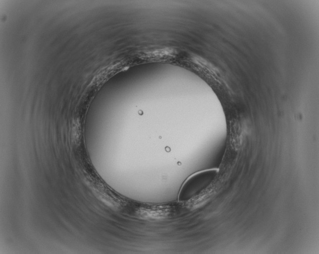 X0000085830563200703301622