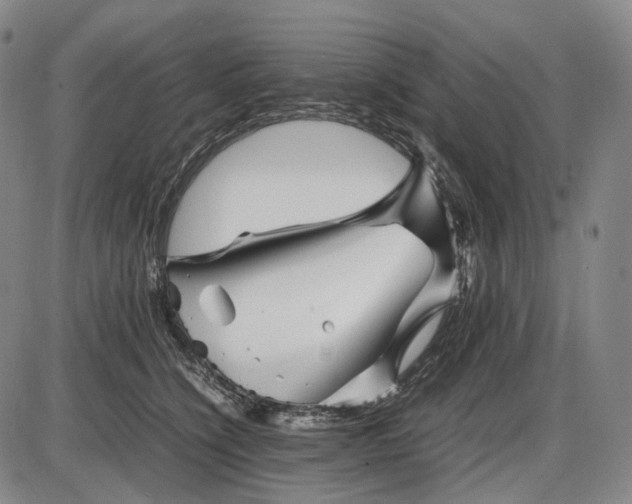 X0000085830564200703301622