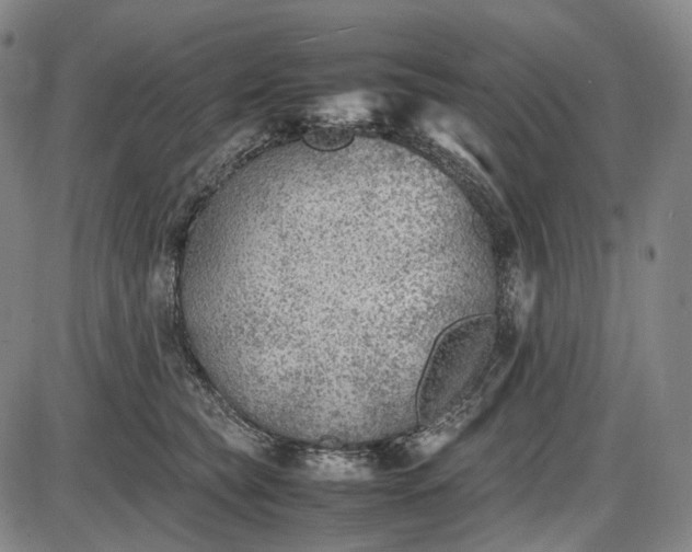 X0000085830565200703301622