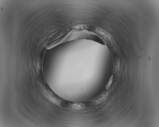 X0000085830566200703301622