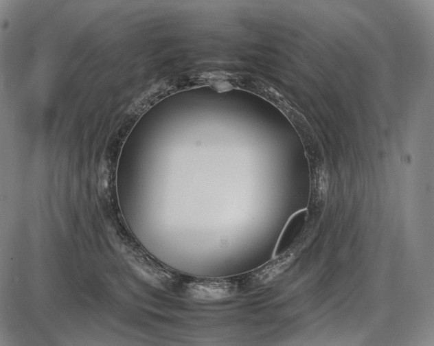 X0000085830567200703301622