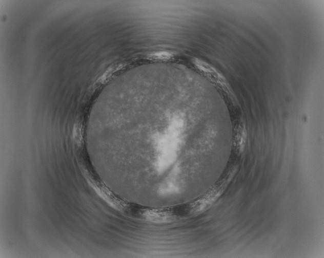 X0000085830568200703301622