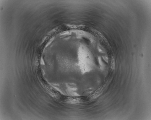 X0000085830569200703301622