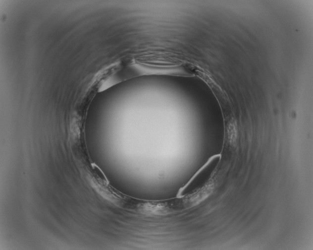 X0000085830570200703301622