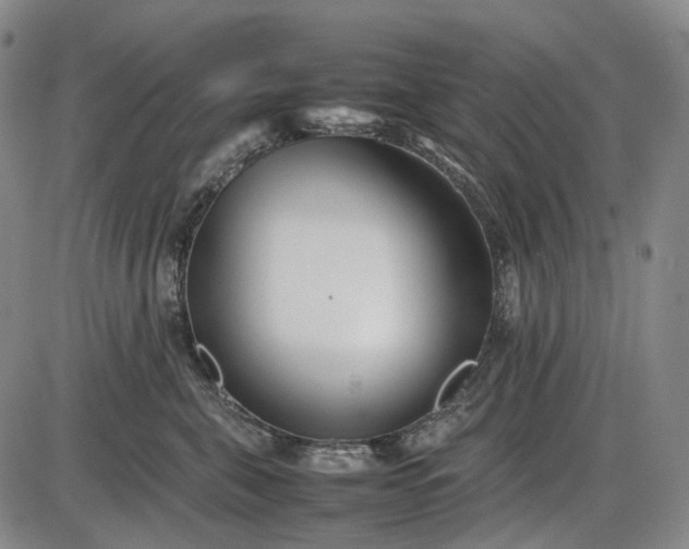 X0000085830571200703301622