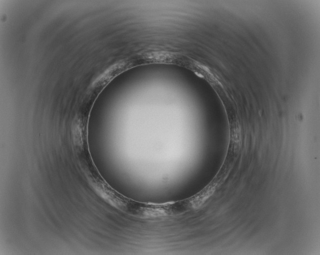 X0000085830572200703301622