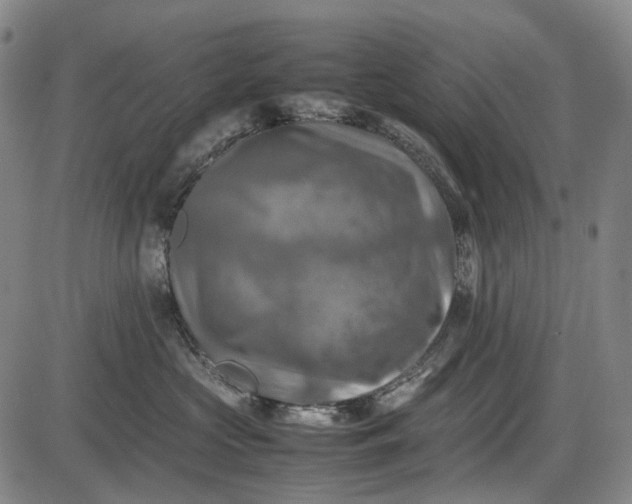 X0000085830573200703301622