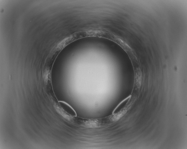 X0000085830574200703301622