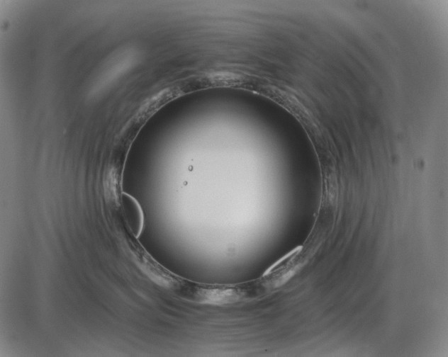 X0000085830575200703301622