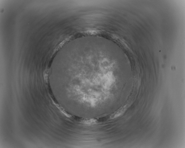 X0000085830576200703301622