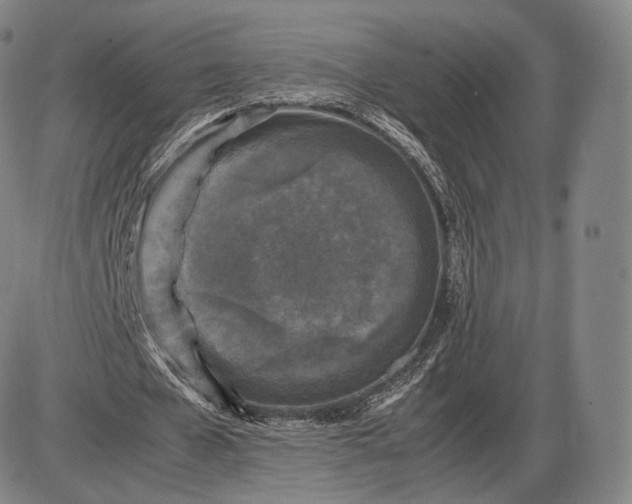 X0000085830577200703301621