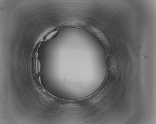 X0000085830578200703301621