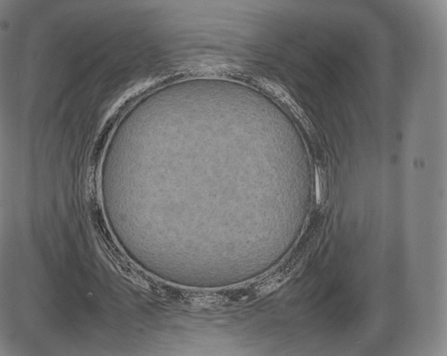 X0000085830579200703301621