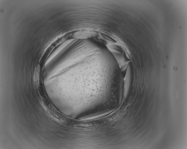 X0000085830580200703301621