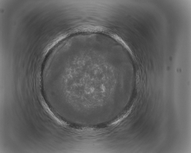 X0000085830581200703301621