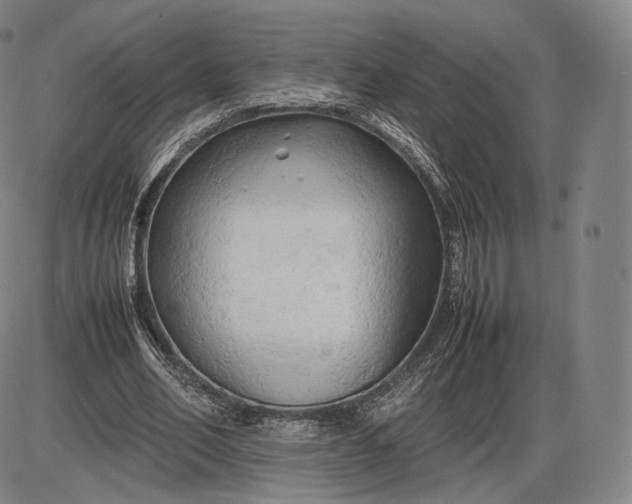 X0000085830582200703301621