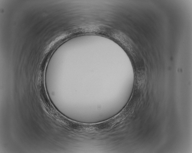 X0000085830583200703301621