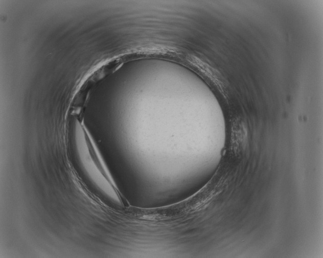 X0000085830584200703301621