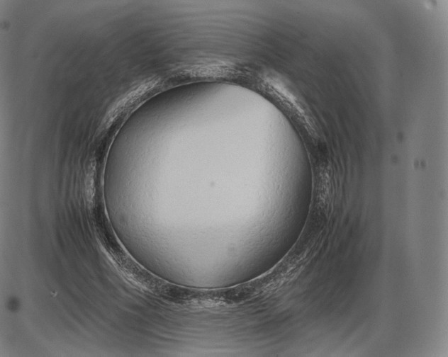 X0000085830586200703301621