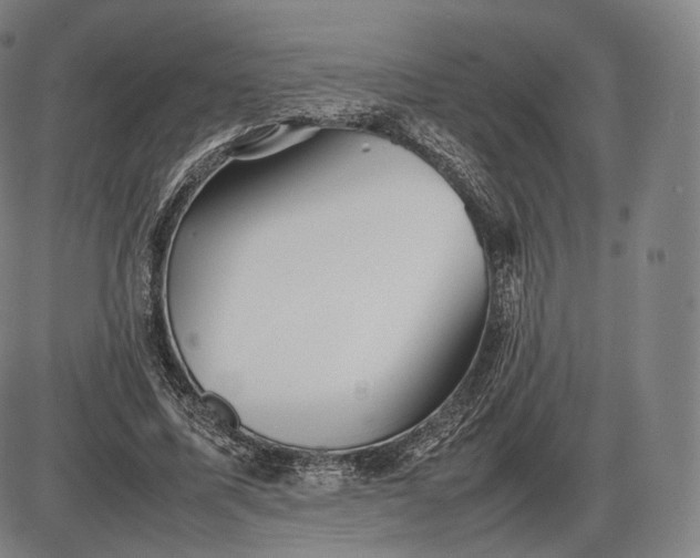 X0000085830587200703301621