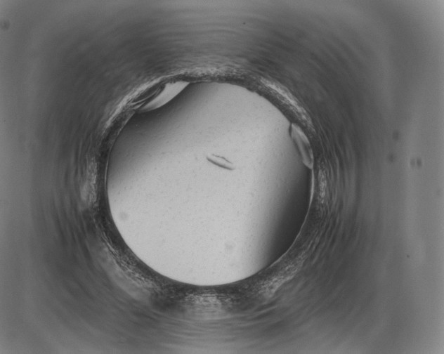 X0000085830588200703301621