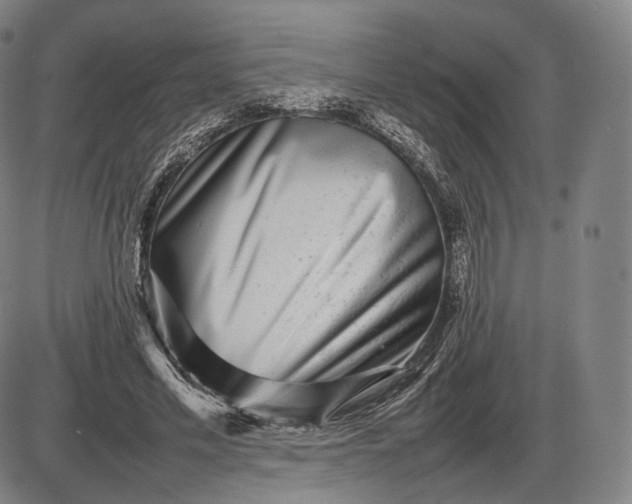 X0000085830589200703301621