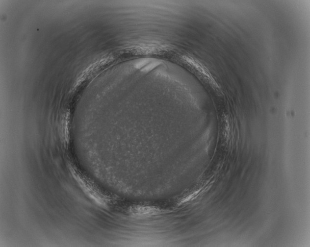 X0000085830590200703301621