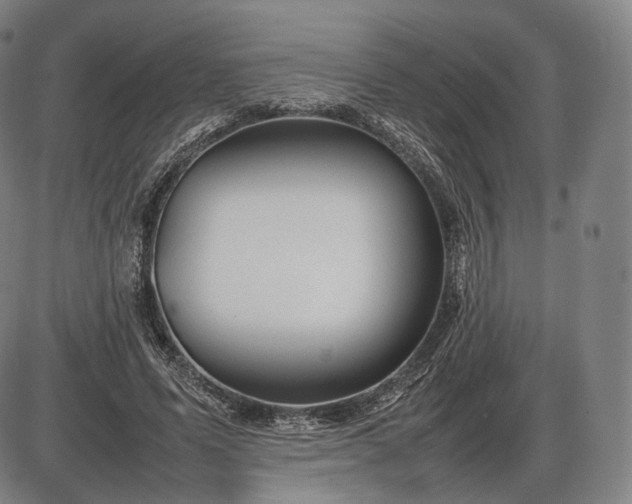 X0000085830591200703301621