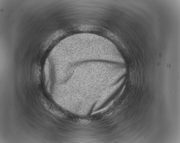 X0000085830592200703301621