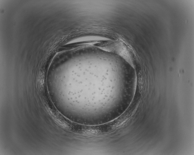 X0000085830593200703301621