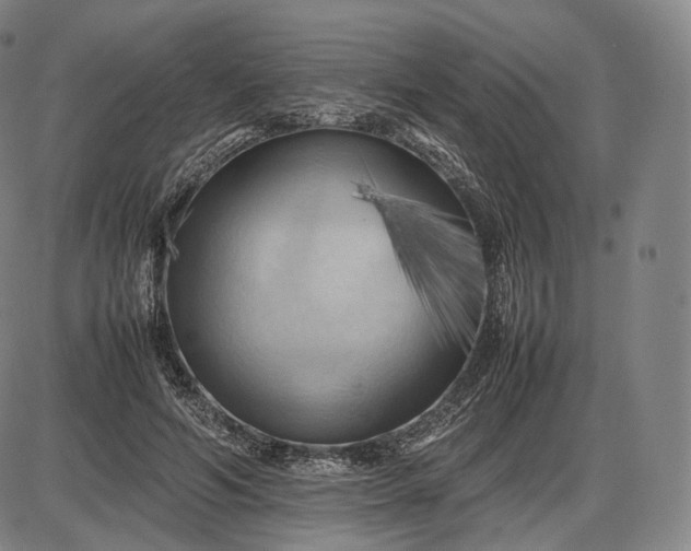 X0000085830594200703301621