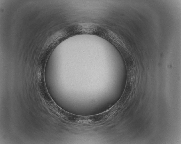 X0000085830595200703301621