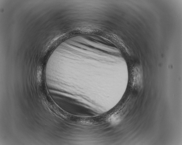 X0000085830596200703301621