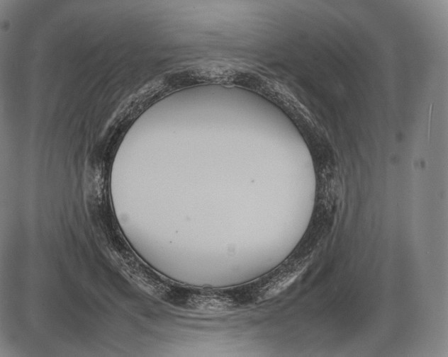 X0000085830597200703301621