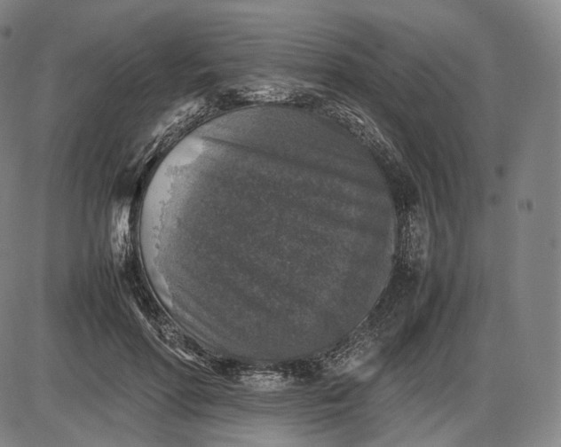 X0000085830598200703301621