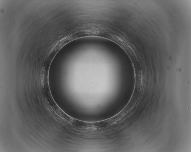 X0000085830600200703301621